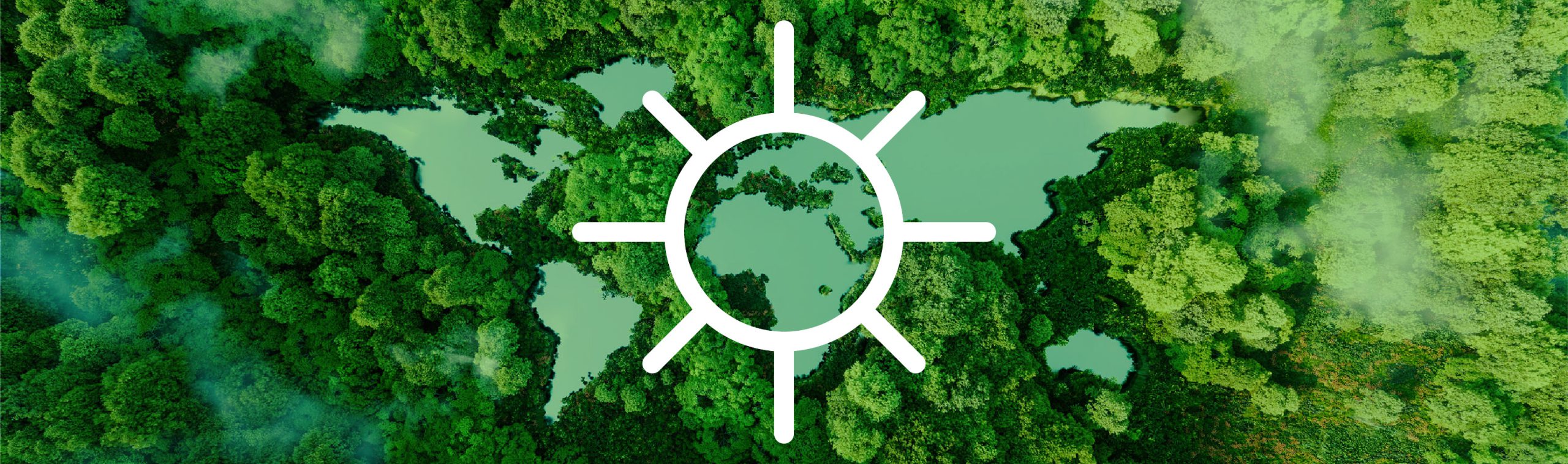 Biobrandstoffen en energietransitie: PV-parken