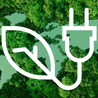 Biodiversiteit en energietransitie: biobrandstoffen