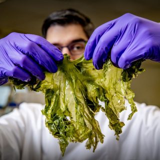 biomassa_in_balans