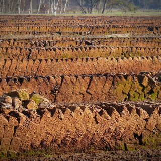 geschiedenis energietransitie: turfsteken