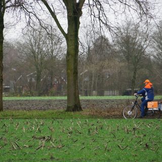 Post_pexels-freek-wolsink-508219-20446974