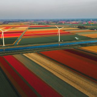 redcharlie-rDJYMootbXQ-unsplash (1)