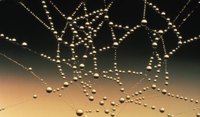 Web met dauwdruppels