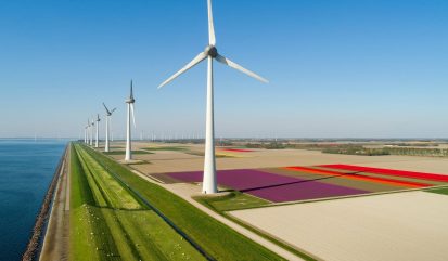 Windmolens op dijk met bloembollenvelden copy