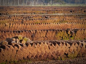 geschiedenis energietransitie: turfsteken