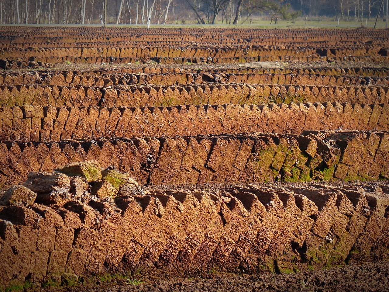 geschiedenis energietransitie: turfsteken